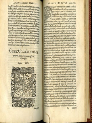 Le Premier (-quatriesme) livre de Amadis de Gaule