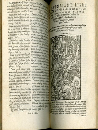 Le Premier (-quinzieme) livre d'Amadis de Gaule Mis en François par le Seigneur des Essars Nicolas de Herberay