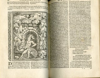 Le Premier (-quinzieme) livre d'Amadis de Gaule Mis en François par le Seigneur des Essars Nicolas de Herberay