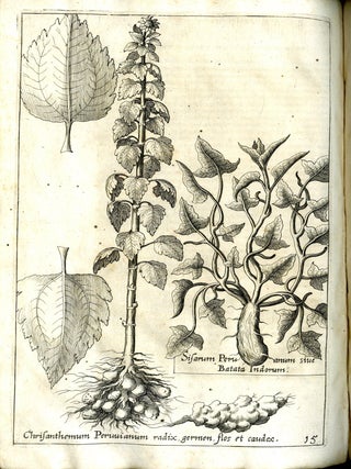 Nova Typis Transacta Navigatio. Novi Orbis Indiae Occidentalis