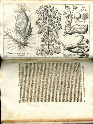 Nova Typis Transacta Navigatio. Novi Orbis Indiae Occidentalis