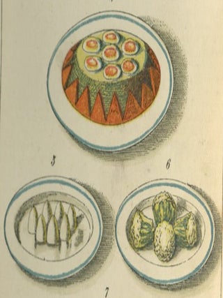 Warne's Everyday Cookery