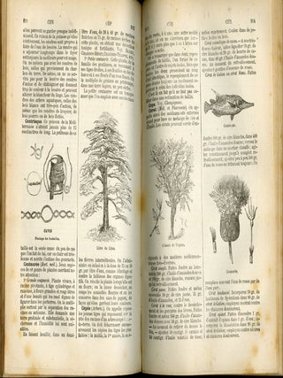 Un Million de Recettes: Grande Encyclopédie Illustrée D'Économie Domestique...Grande Cuisine, Cuisine Bourgeoise, Petite Cuisine des Ménages