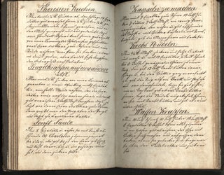 Koch Buch der Fany Evanzin [Manuscript cookbook in German]