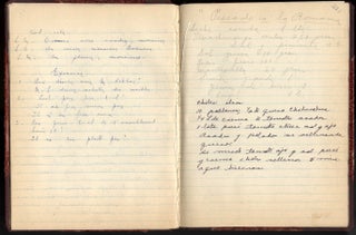 Mexican Manuscript Cookbook (with French exercises)