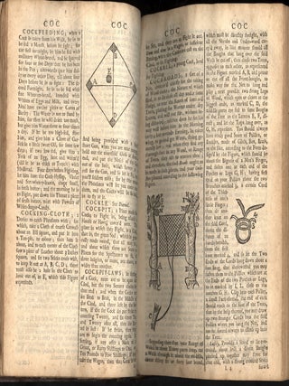 Dictionarium Rusticum, Urbanicum & Botanicum: or, a Dictionary of Husbandry, Gardening, Trade, Commerce, and All Sorts of Country-Affairs