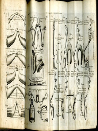 Dictionarium Rusticum, Urbanicum & Botanicum: or, a Dictionary of Husbandry, Gardening, Trade, Commerce, and All Sorts of Country-Affairs