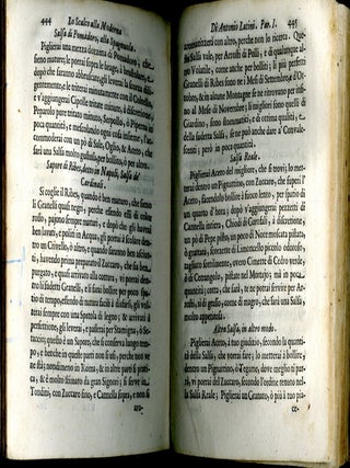 Lo Scalco alla Moderna