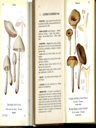 Les Champignons Comestibles et Vénéneux