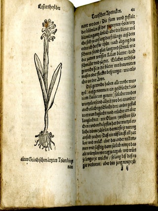 Confect Buch und Hauß Apoteck, künstlich zubereiten, einmachen und gebrauchen