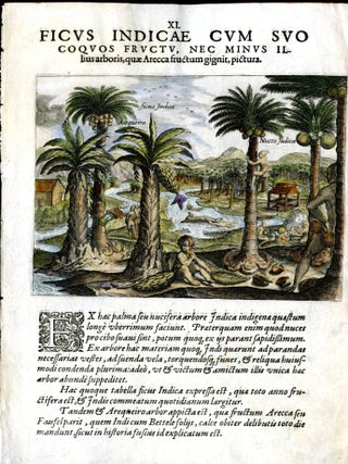 Item #CAT000914 Hand Colored Plate XI from Secunda pars Indiae Orientalis: Ficus Indicae. Johann...