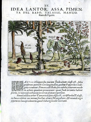 Item #CAT000917 Hand Colored Plate XV from Secunda pars Indiae Orientalis: Idea Lanton, Assa...