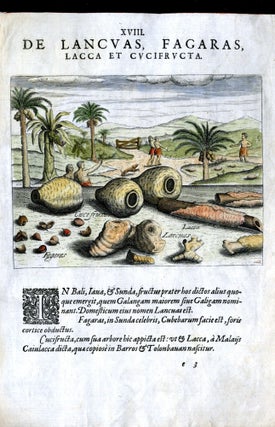 Item #CAT000920 Hand Colored Plate XVIII from Secunda pars Indiae Orientalis: De Lancuas,...