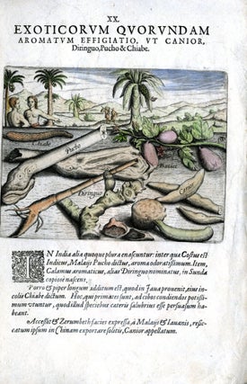 Item #CAT000922 Hand Colored Plate XX from Secunda pars Indiae Orientalis: Exoticorum Quorundam...
