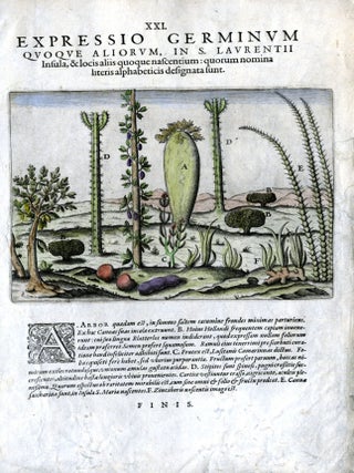 Item #CAT000923 Hand Colored Plate XXI from Secunda pars Indiae Orientalis: Expressio Germinum...