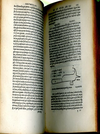 Libri de re Rustica