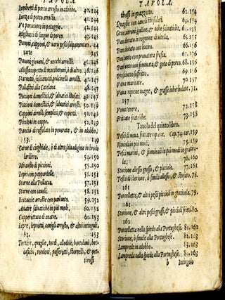 La Singolare Dottrina di M. Domenico