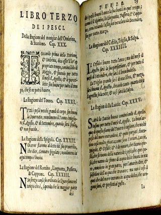 La Singolare Dottrina di M. Domenico
