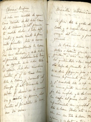 Manuscript Spanish recipes ca. 19th century