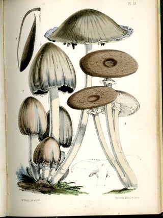 A Treatise on the Esculent Funguses of England, containing an account of their classical history, uses, characters, development, structure, nutritious properties, modes of cooking and preserving, etc.